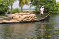 Allepey, Kerala, India Ã¢â¬â March 31, 2015: Indian man transport dwell with rice for boats. backwaters canoe in state Royalty Free Stock Photo